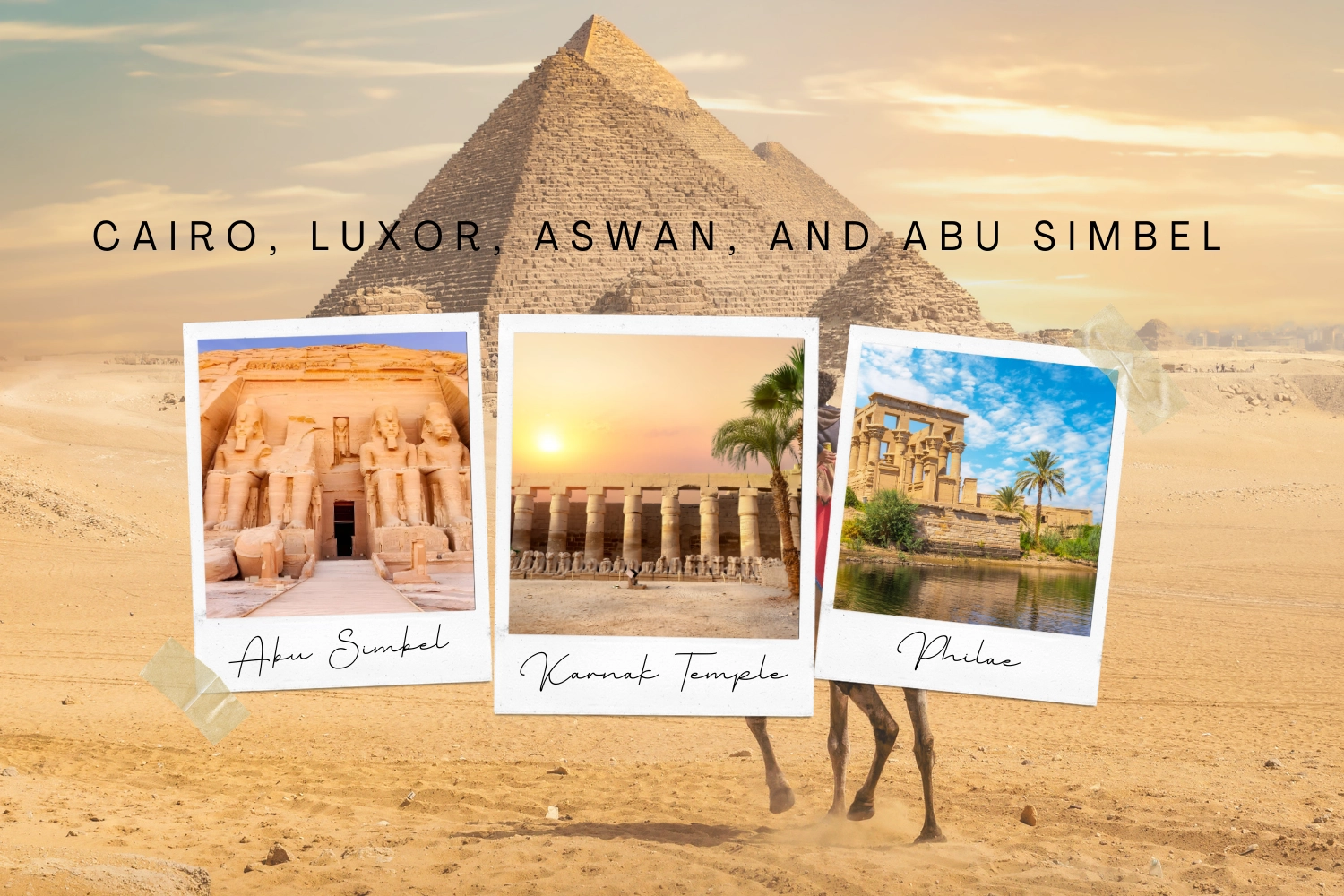 6 day Cairo, Luxor, Aswan, and Abu Simbel package