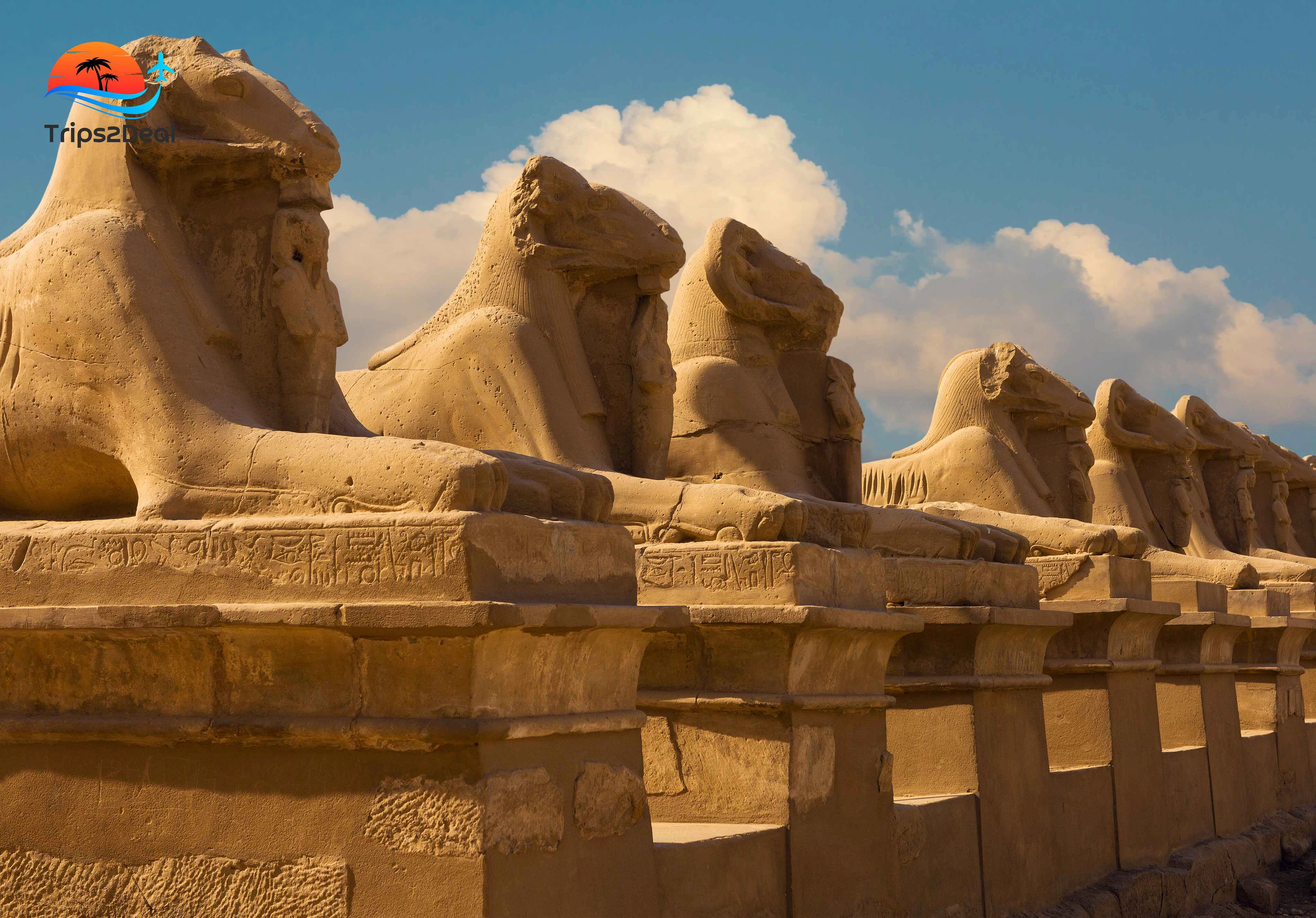 Day Trip to Luxor by Bus From Marsa Alam