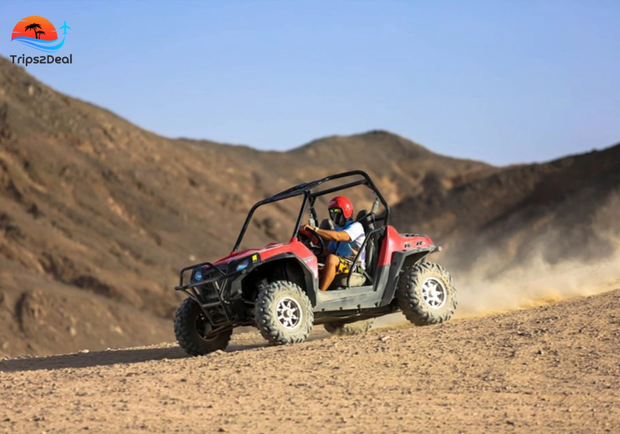 Tour to Bedouin Village and Buggy Desert Ride from Sharm el-Sheikh