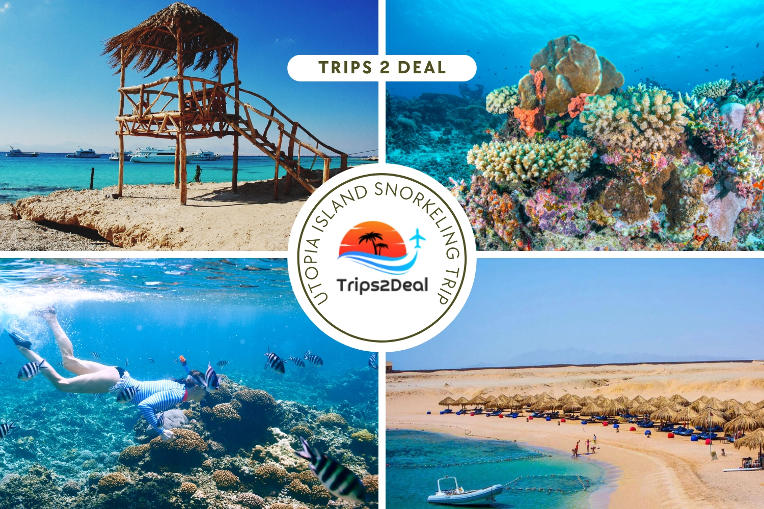Journée complète de plongée en apnée sur l'île d'Utopia au départ d'Hurghada