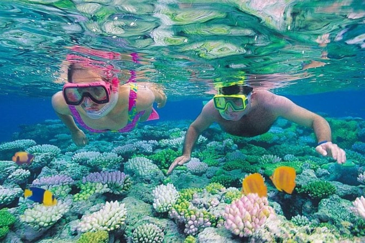 Hurghada : Sharm El Naga - Journée de plongée avec masque et tuba