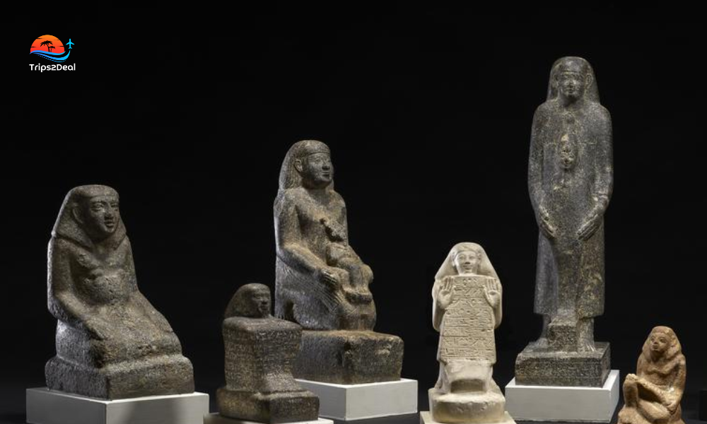 Artifacts in museum