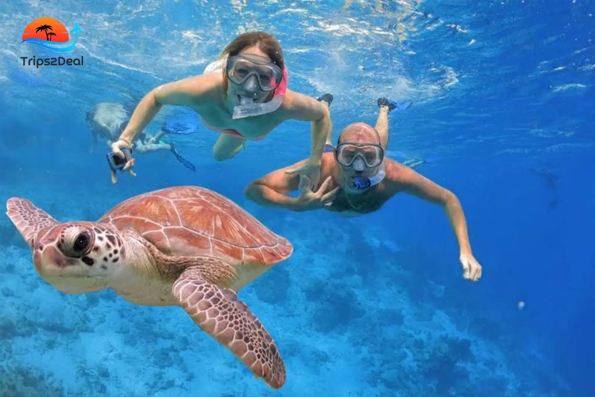 Snorkeling Trip